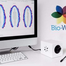 ABOUT TUTORIALS BIO-WELL INITIATES